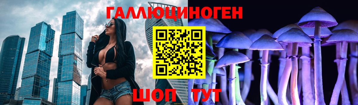 Галлюциногенные грибы Cubensis Славгород